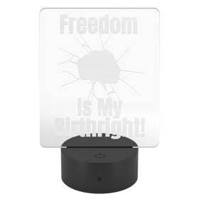 Freedom_Is_My_Birthright_Rectangle_Main_Mockup.png