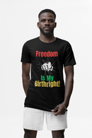 Freedom Is My Birthright Juneteenth Celebration Unisex tee-4