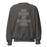 God Planted My Melanated Power Unisex Sweatshirt