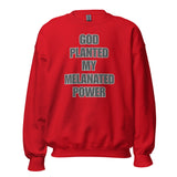 God Planted My Melanated Power Unisex Sweatshirt
